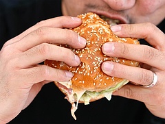 Buksza: Mennyi kalória van az új burgerekben?