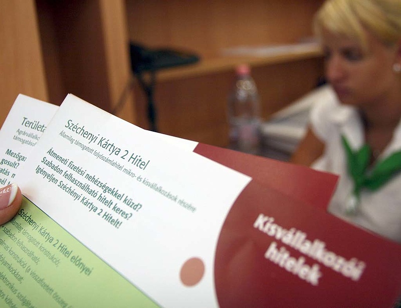 Felülvizsgáltatja a kormány a Széchenyi Kártya Programot