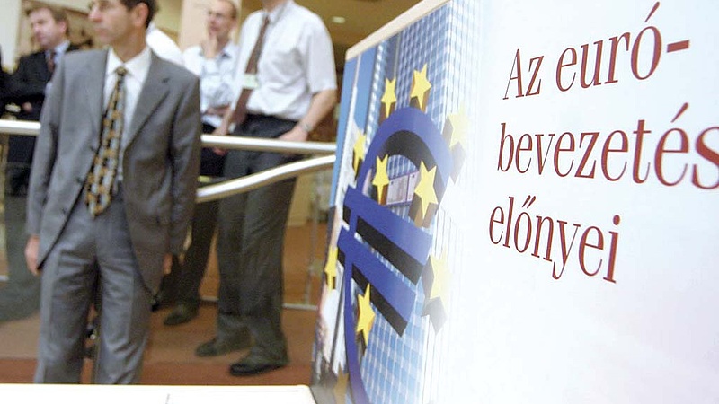 Magyar euró: váratlan eredmény született