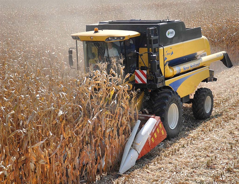 Nagyot drágult a kukorica is az ukrán válság miatt