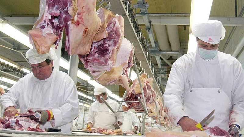 Óriási elismerés a magyar húsiparnak