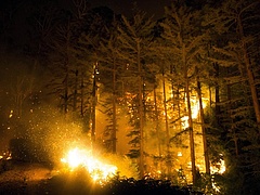 Óriási erdőtüzek pusztítanak az Egyesült Államok délnyugati partvidékén és Kanadában
