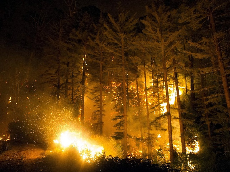 Óriási erdőtüzek pusztítanak az Egyesült Államok délnyugati partvidékén és Kanadában