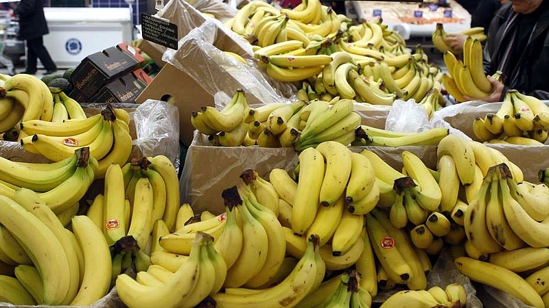 18 kiló kokain volt egy horvát Lidl banános standjában