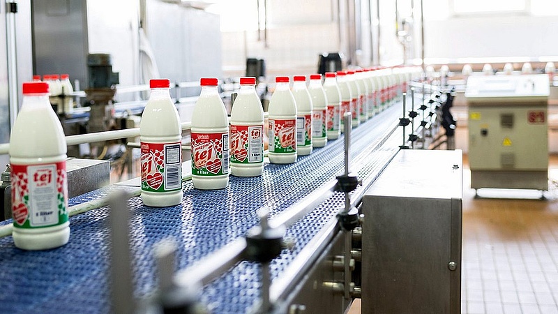 Rekordtámogatást ad a kormány a tejeseknek