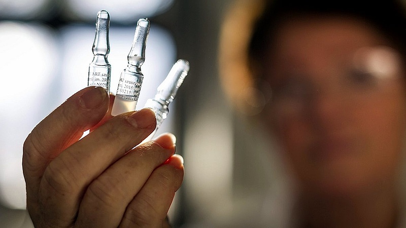 Magyarországon gyártott ampullákba kerül a Pfizer vakcina nagy része 