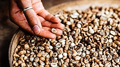 Megugrott a kávéexport a világban