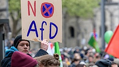 Az AfD nem akar konszolidálódni