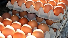 A tojás csak a kezdet a kíméletlen élelmiszer-drágulásban