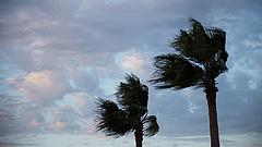 Irtózatos erejű lehet a Florida felé közelítő Dorian hurrikán