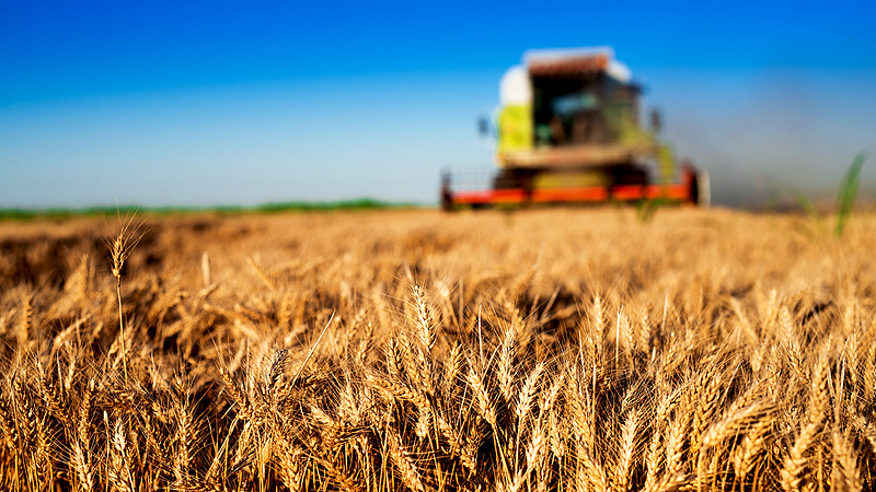 Uniós agrártámogatások: ezért ragaszkodna a kormány a jelenlegi rendszerhez