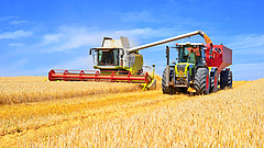 Merre mennek a gabonaárak? 15 százalékkal kevesebb búza teremhet