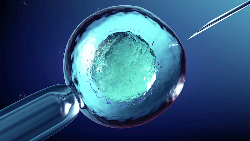 Őssejtekké sikerült programozni szuperöreg sejteket