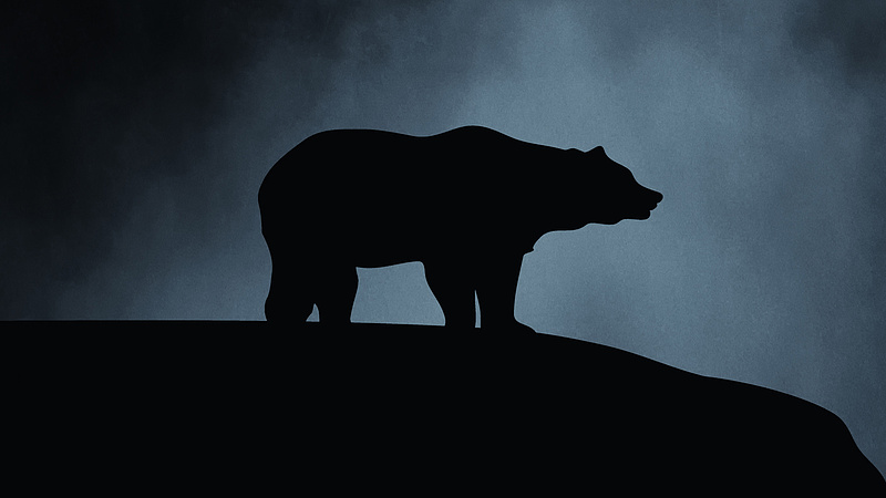 Rendezik a medvék helyzetét Romániában, kiszűrik a gondokat okozó állatokat
