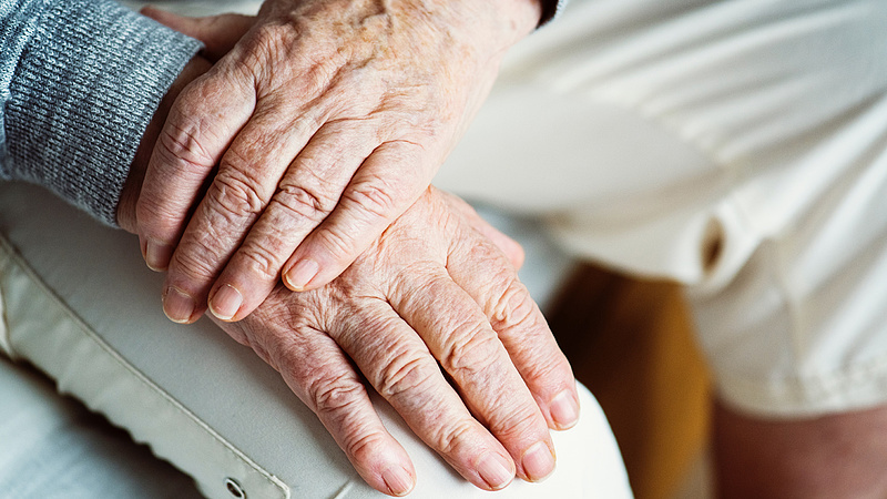 Felmérés: a nyugdíjasok jónak tartják a szövetkezeti rendszert