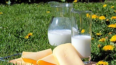 A hazai tejet féltik a termelők