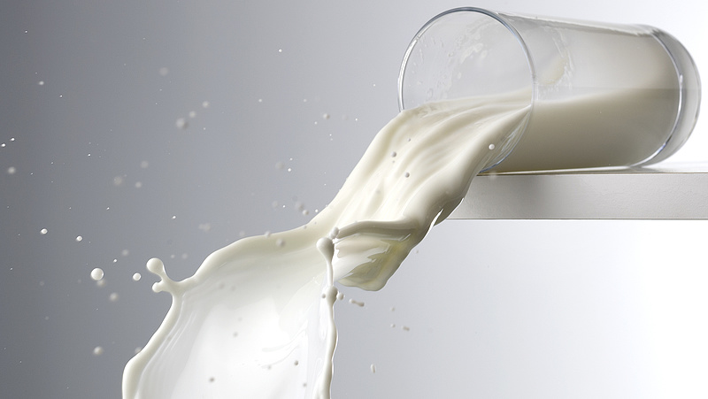 Árulkodó árcímkéket kapnak a tejtermékek