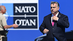 "A NATO-ban is napirendre kell venni a magyar jogállamiság ügyét"