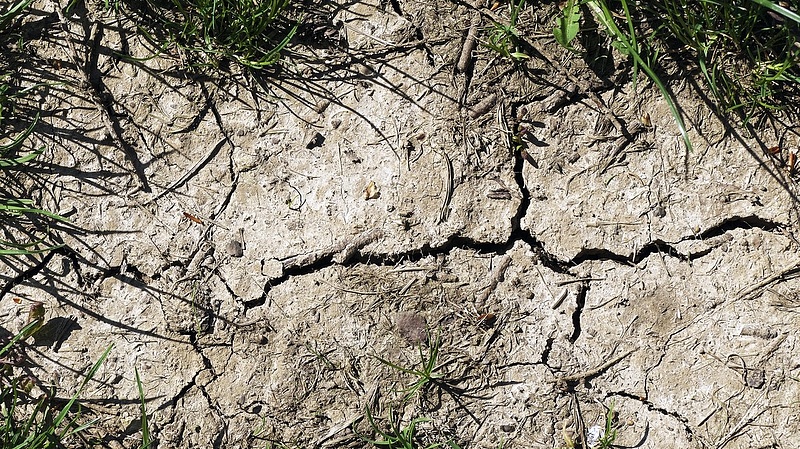 Válságossá válhat a helyzet Afrikában - korábban érkezett a szárazság