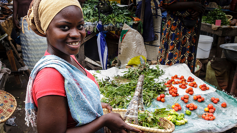 A laskagomba is segíthet az afrikai élelmezési problémák megoldásában