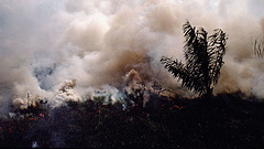 A lángoló amazonasi őserdő több ezer kilométerre is elsötétítette a Napot