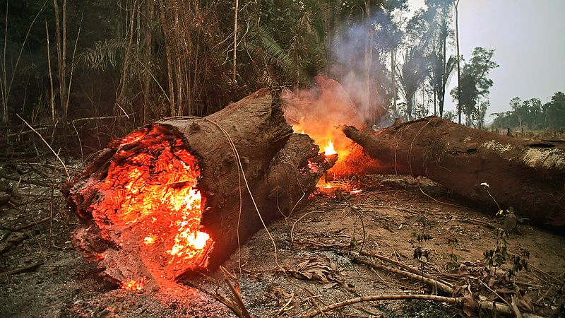 Négyszer több helyen tombol tűz az Amazonas vidékén