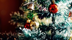 Minden, amit a karácsonyfa kidobásáról tudni szeretett volna