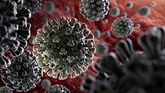 Koronavírus: újra nőtt a halálozások száma
