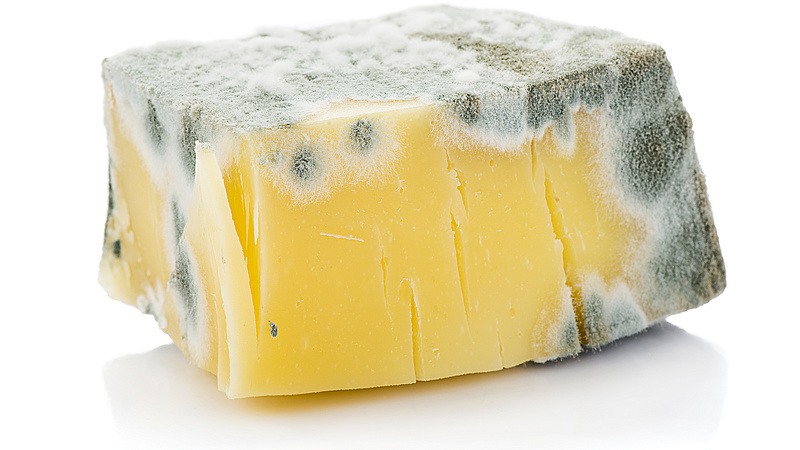 Meg lehet enni a lejárt szavatosságú sajtot? A Nébih elárulja