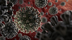 Koronavírus: gyorsan terjed a járvány