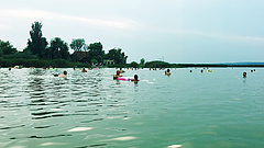 Újra lehet fürdeni a Velencei-tóban