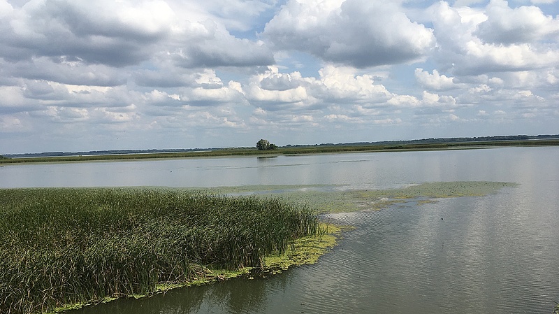 Fekália ömlik a Tisza-tóba évek óta, és sokáig így is marad