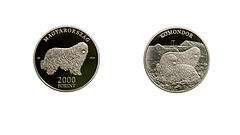 Taroltak az MNB új forintjai - elkapkodták a kutyás érméket