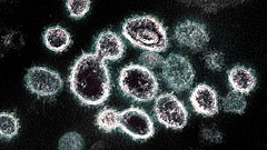Koronavírus: újabb mutáció jelent meg