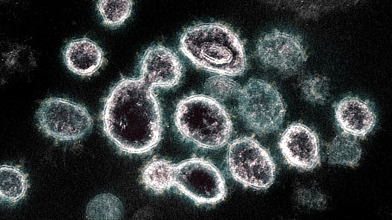 Koronavírus: rossz hír érkezett a szomszédból