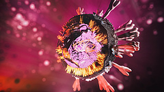 Váratlan hír a koronavírusról, a kutatókat is meglepte