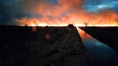 Emberi hanyagság okozhatta a pusztító balatoni tüzet