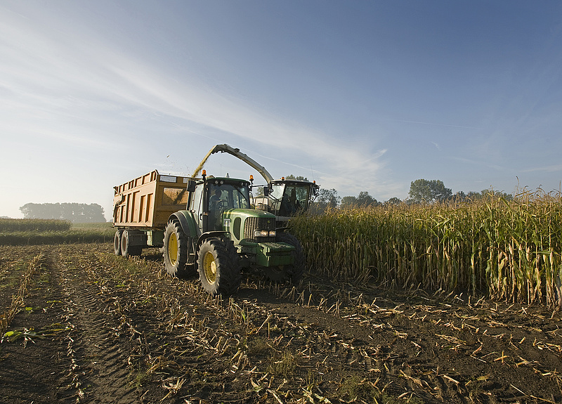 A KPMG ellenőrizheti az uniós agrárkifizetéseket