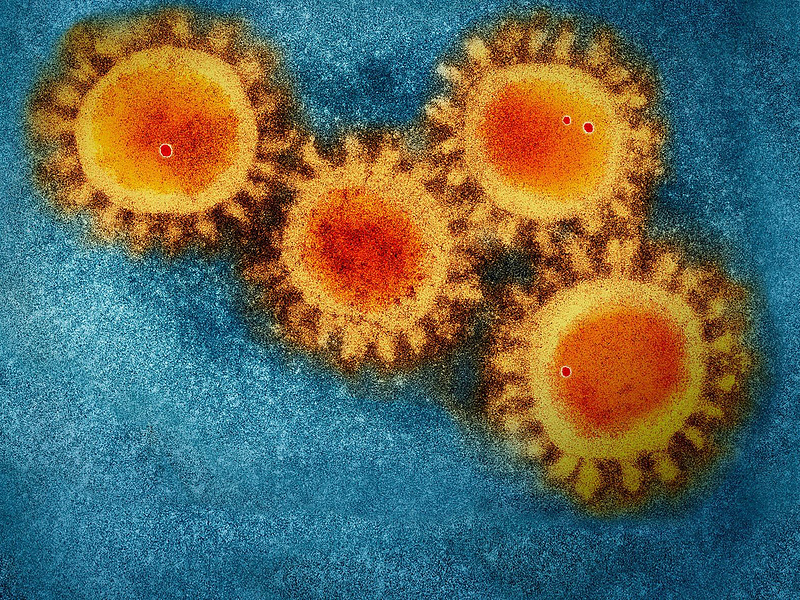 513 ezer új koronavírus-fertőzöttet regisztráltak az elmúlt 24 órában