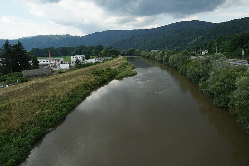 Ökológiai katasztrófa történt a Duna mellékfolyóján, tonnányi hal pusztult el