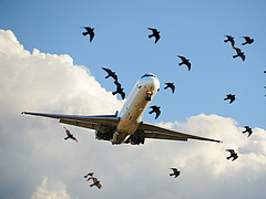 Komoly tervek vannak a légi közlekedés környezetbaráttá tételére