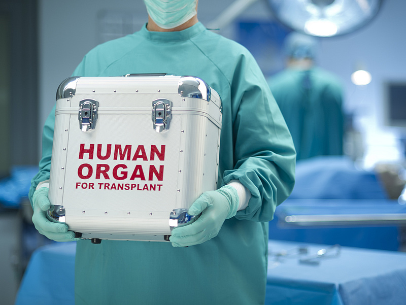 Tavaly a transzplantáltak kétharmada vesét kapott