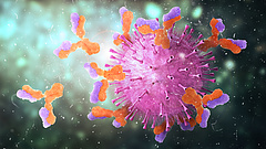 Koronavírus: problémák adódtak egy új gyógyszer vészhelyzeti engedélyezésénél