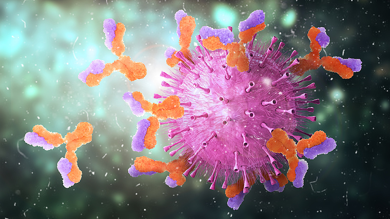 Pécsi kutatók megszüntették a koronavírus egyes variánsainak fertőzőképességét