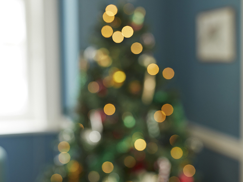 Fényfüzérek és világító műfenyők: fontos dolog derült ki a karácsonyról