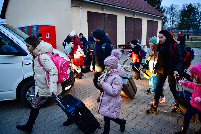 Ukrajnai menekültek foglalkoztatása: erre érdemes figyelni