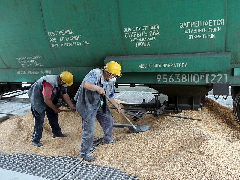 Kiszorítja az ukrán gabona a hazait, intézkedést sürgetnek