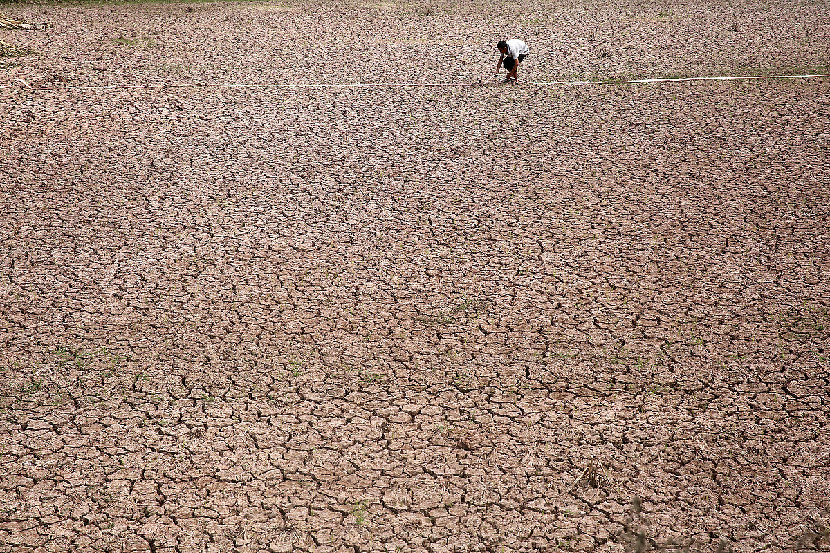 Cientos de miles apenas tienen agua potable en China y el río Yangtze se ha secado