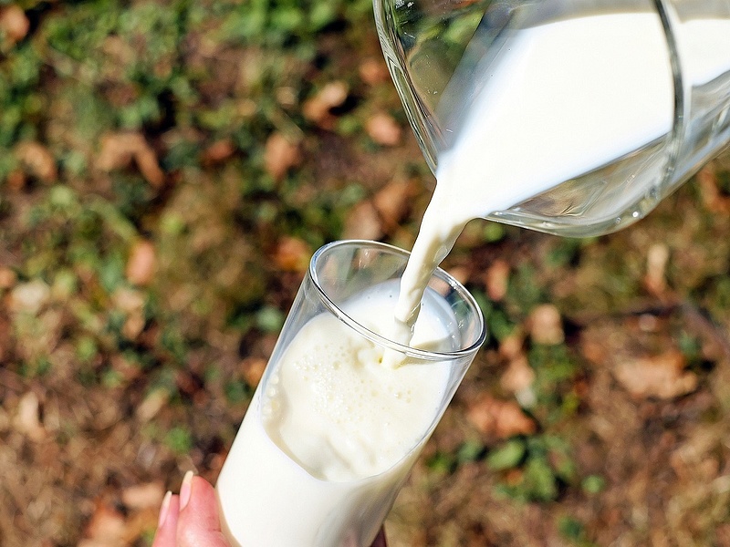 Európai tendencia miatt csökkenhet hamarosan a tejtermékek ára