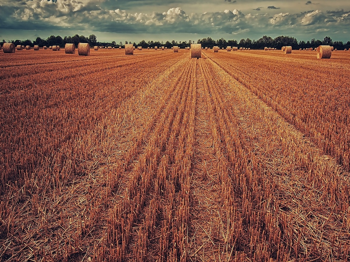 Újabb cég hagyja faképnél az orosz mezőgazdaságot